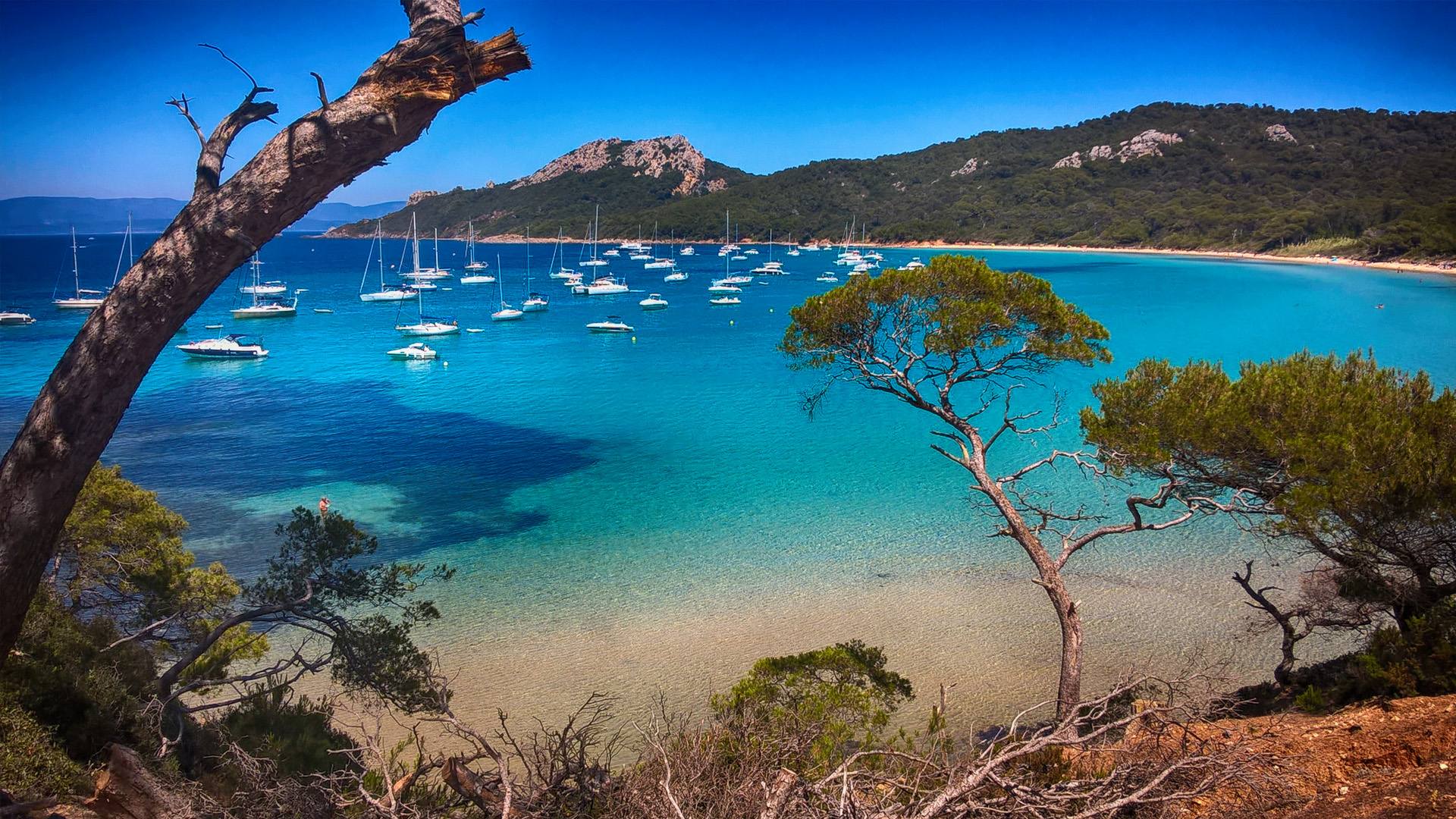 Organisation sur mesure